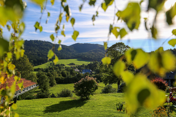 Garten im Appartement Bergblick