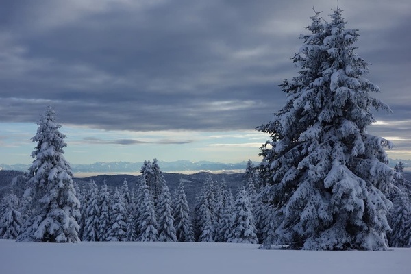 Alpenblick