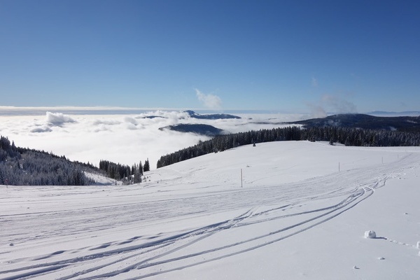 Langlauf Loipe (St�benwasenspur) oberhalb von Todtnauberg