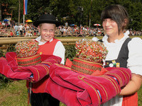 Sch�ferkrone Wildberg (Bildnachweis: Stadtverwaltung Tourismus Wildberg )