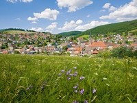 Stadtansicht V�hrenbach (Bildnachweis: Tourist-Info V�hrenbach )