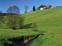 Bach Biederbach (Bildnachweis: Tourismus GmbH & Co.KG  ZweiTlerLand )