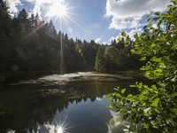 Mit freundlicher Genehmigung der Stadt Lossburg (Bildnachweis: Mit freundlicher Genehmigung der Stadt Lossburg)