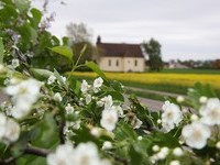 Mit freundlicher Genehmigung der Stadt Neuenburg am Rhein (Bildnachweis: Mit freundlicher Genehmigung der Stadt Neuenburg am Rhein)