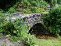 Bürchau Steinbrücke im Sommer (Bildnachweis: Gemeinde Kleines Wiesental) Bürchau Steinbrücke im Sommer (Bildnachweis: Gemeinde Kleines Wiesental)