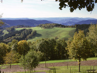  (Bildnachweis: Mit freundlicher Genehmigung der Tourist-Info Oberwolfach)