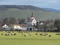 Schallstadt (Bildnachweis: Brgermeisteramt Schallstadt)