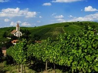 (Bildnachweis: Mit freundlicher Genehmigung der Touristikinformation Auggen / Winzerkeller Auggener Schäf) (Bildnachweis: Mit freundlicher Genehmigung der Touristikinformation Auggen / Winzerkeller Auggener Schäf)