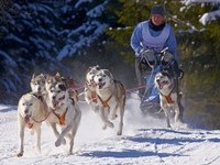  (Bildnachweis: Mit freundlicher Genehmigung Tourist Information Bernau)