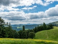 (Bildnachweis: Mit freundlicher Genehmigung Tourist Information Bernau) (Bildnachweis: Mit freundlicher Genehmigung Tourist Information Bernau)
