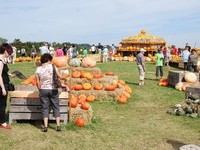 (Bildnachweis: Tourist-Information Höchenschwand, Fotograf: Erich Spiegelhalter, Klaus Hansen) (Bildnachweis: Tourist-Information Höchenschwand, Fotograf: Erich Spiegelhalter, Klaus Hansen)