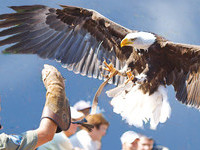  (Bildnachweis: Vogelpark-Steinen)