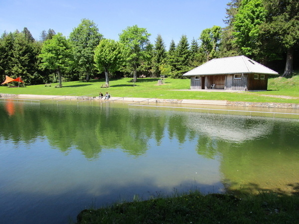 Naturfreibad St. Mrgen Bildnachweis: Mit freundlicher Genehmigung der Gemeinde St. Mrgen 