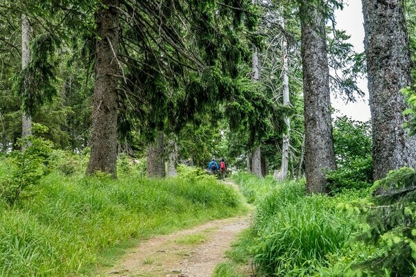  Bildnachweis: Mit freundlicher Genehmigung Tourist Information Bernau