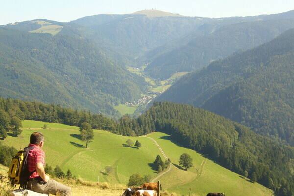 Aussicht auf die Berge des Dresiamtals Bildnachweis: Tourist-Information Dreisamtal