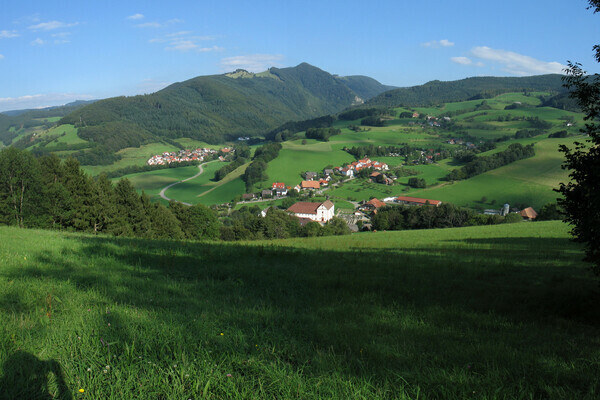 Panoramablick in Oberried Copyright: (Tourist-Information Dreisamtal)