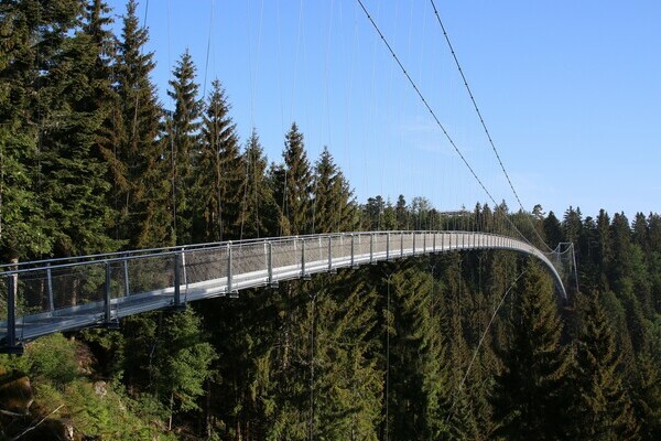 Wildline Bildnachweis:  Touristik Bad Wildbad GmbH, Foto: Markus Maisenbacher